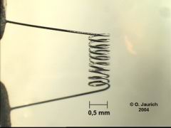  defekte Kleinlampe Stereomikroskop 40x